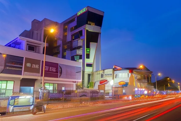 金吉金奈瓦達帕拉尼飯店