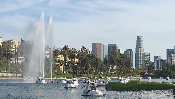 Swan Boat Rental in Echo Park