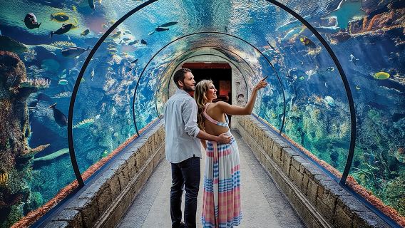 Shark Reef im Mandalay Bay Hotel und Casino