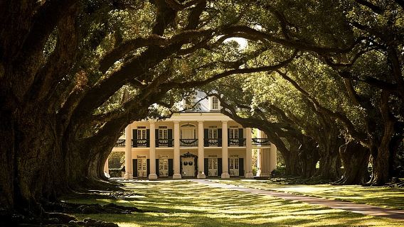 Oak Alley Plantation and Large Airboat Swamp Tour from New Orleans