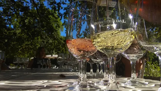 Wine Tour to Stellenbosch & Franschhoek with Tastings & Lunch