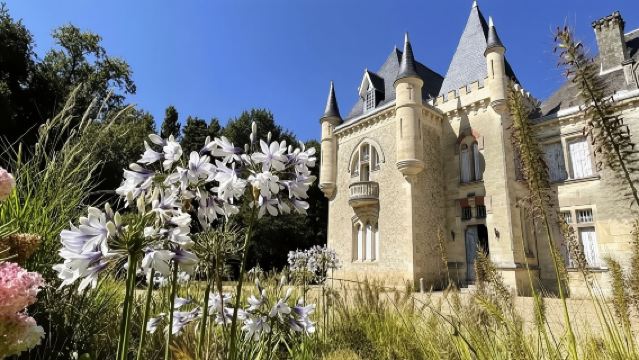 Bordeaux wine tasting Lessons in France (learn tasting skills + optional visit to Saint-Emilion winery)