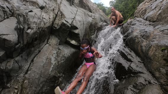 El Yunque Rainforest adventure with transportation