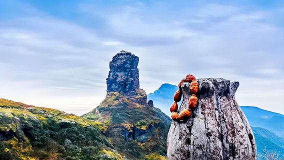 1-day tour of Mount Fanjing