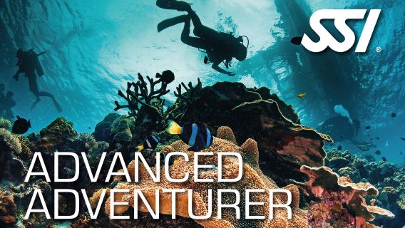 2-Day SSI Advanced Open Water diving Course in Kota Kinabalu, Malaysia