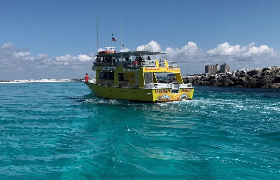 海豚觀賞和日落巡航