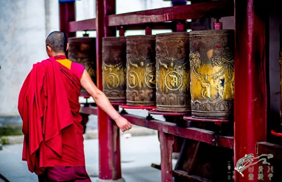 西寧+青海湖+塔爾寺+拉脊山+日月山一日遊 【包車遊】