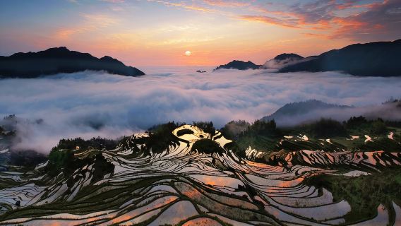 雲和梯田+古堰畫鄉【含入場門票船票】白銀谷+九曲雲環私人導覽