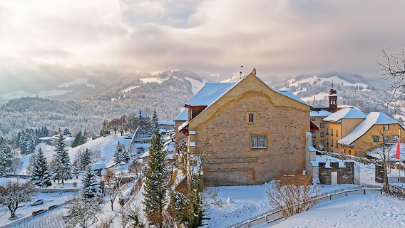 Full-day winter tour to Gruyères from Lausanne by bus