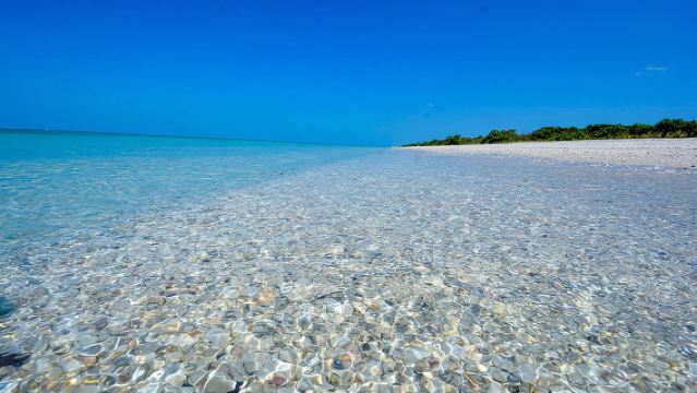 ทัวร์ดูโลมาและเก็บเปลือกหอยแบบรักษ์ธรรมชาติที่เกาะคีเวย์ดิน