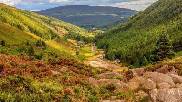 The Original Award Winning Wild Wicklow Tour incl. Glendalough