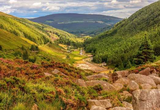 The Original Award Winning Wild Wicklow Tour incl. Glendalough