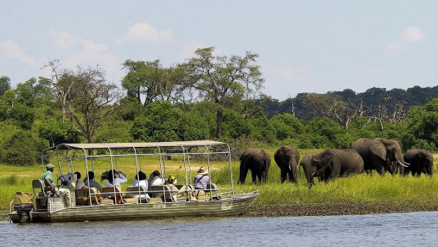 Safari de día completo en Chobe