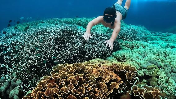 "Discover Gili Nanggu: A Secret Island Escape Awaits You!"