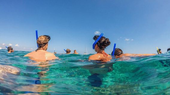 Bali/Nusa Dua: Snorkeling, Naik Perahu Kaca & Pusat Penyu