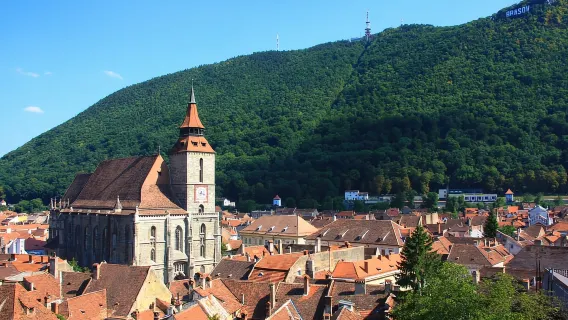 From Sibiu: Day Tour to Brasov and Dracula's Castle