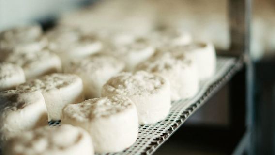 Desde Marsella: Ruta del vino y el queso en Aix-en-Provence