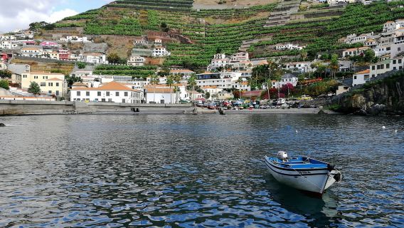 MADEIRA: Private Camara de Lobos Tour in a Tukxi