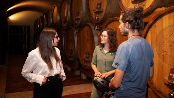 Verona: Valpolicella Wine Self-Guided E-Bike Tour & Tastings