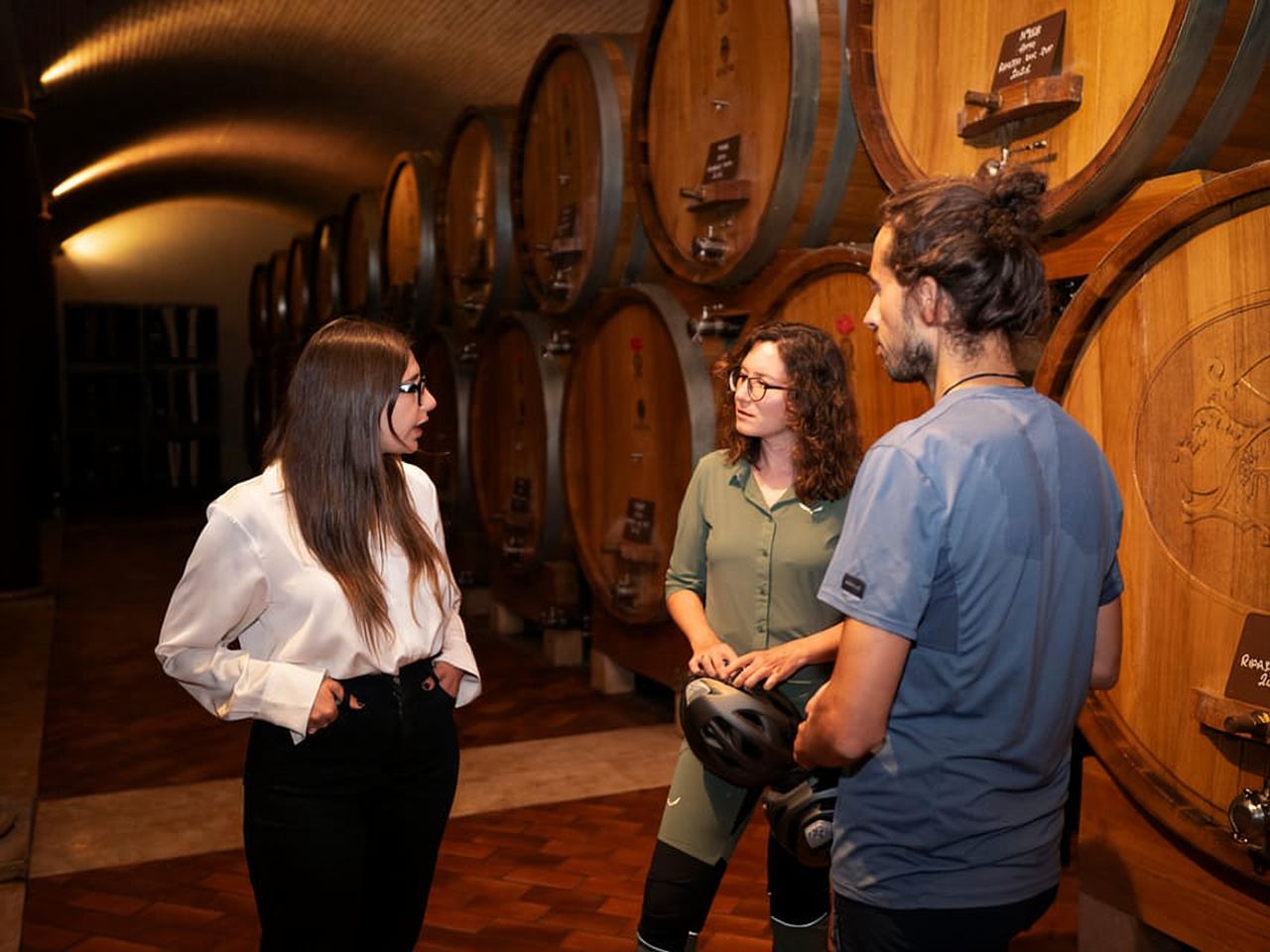 Verona: Valpolicella Wine Self-Guided E-Bike Tour & Tastings
