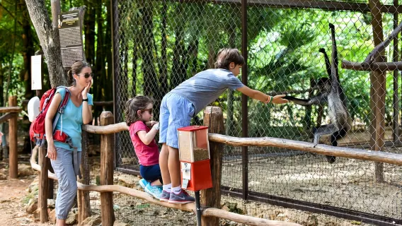 Mérida: Câu chuyện Choco-Story của Bảo tàng Sôcôla và Uxmal