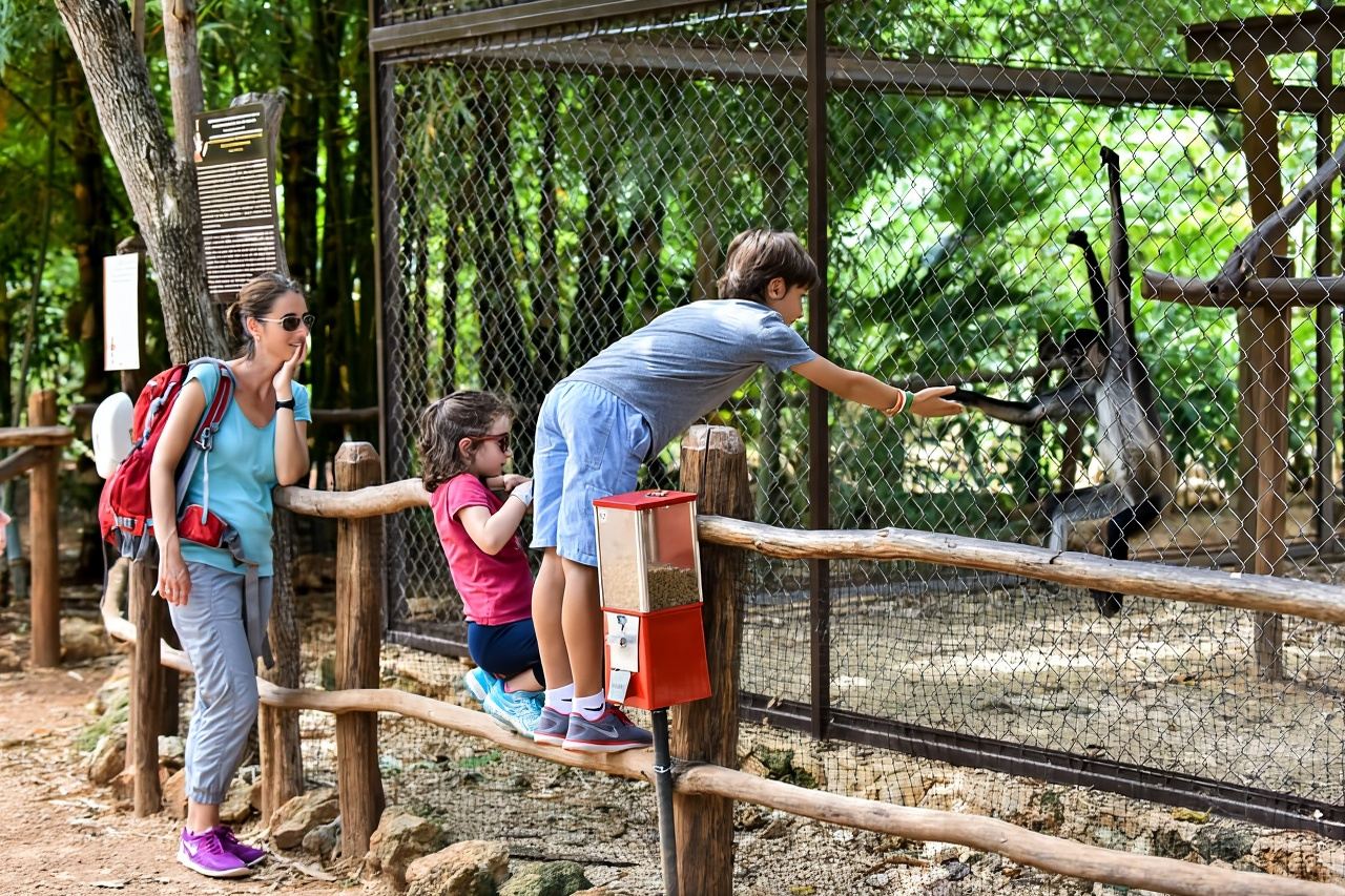 Mérida: Uxmal, Cenote and Chocolate Museum Choco-Story