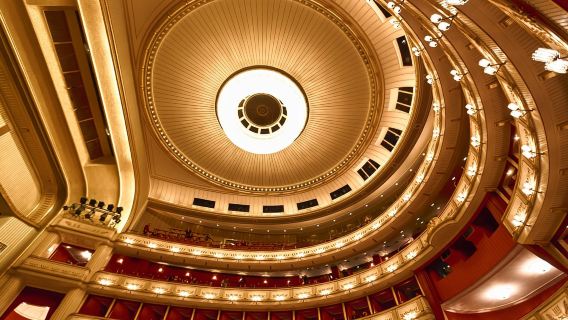 Vienne_ Visite guidée privée à pied à la rencontre de Beethoven