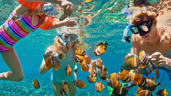 Tour por Key West y snorkel en arrecifes de coral con barra libre