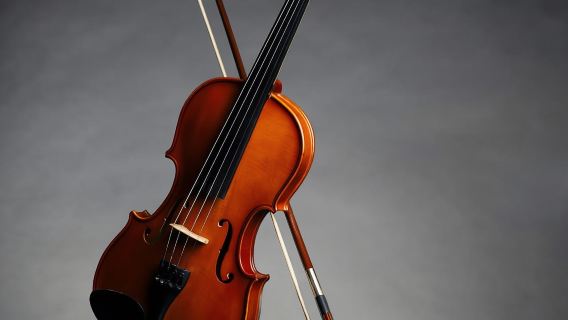 Akses Sore ke Galeri Accademia: David & Stradivarius