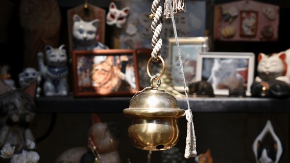 Tokyo: Yanaka e Ueno, – Tour guidato della Tokyo della tradizione