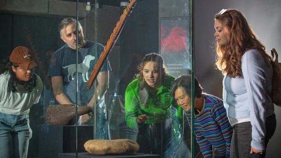 WLG: Museum of NZ Māori Highlights Tour & General Admission