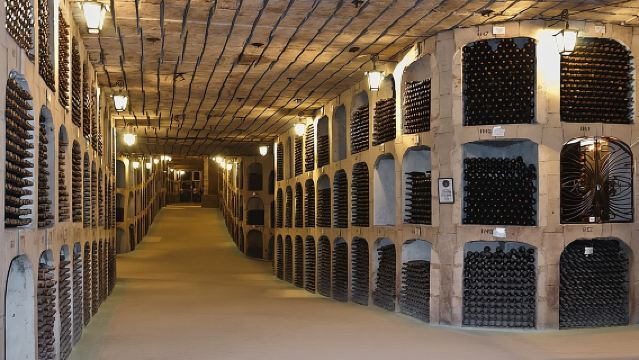 Visite de la cave souterraine de Milestii Mici INCLUANT une dégustation de vin