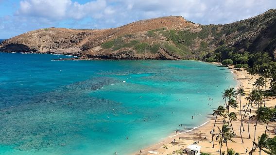 夏威夷瓦胡島大環島和哈利瓦島之旅一日遊【英文團】