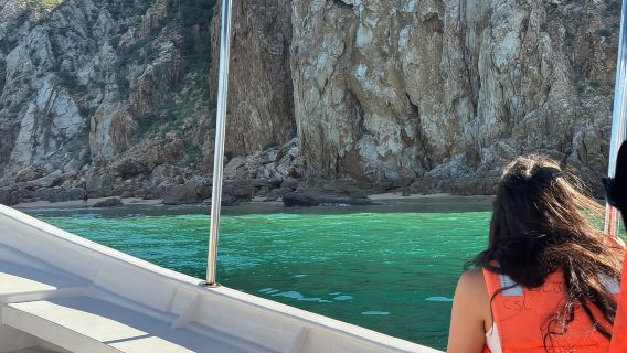 Excursión tradicional al Arco de Cabo San Lucas.