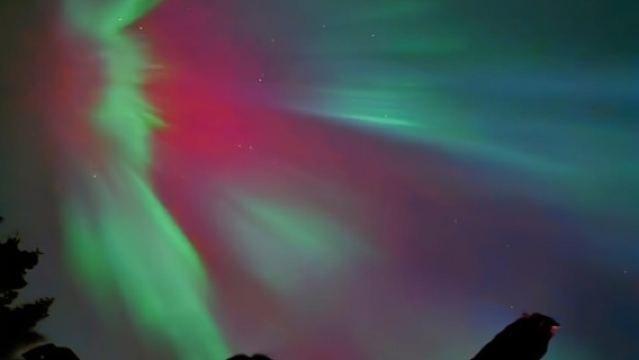 Tour al amanecer o atardecer/observación de estrellas en el Lago Moraine desde Banff
