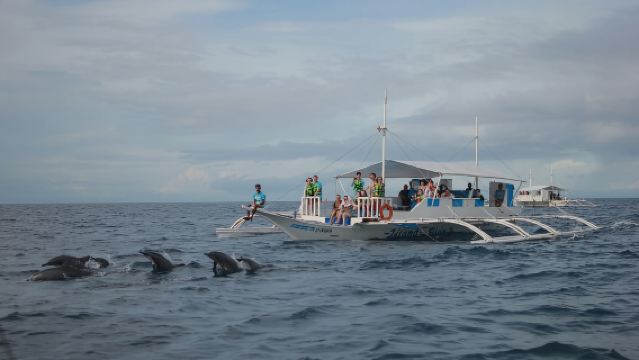 Bali/Lovina: Dolphin Snorkeling, Swimming & Waterfall Tour