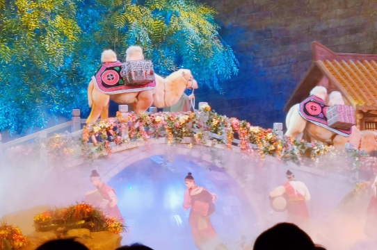 西安華夏文旅海洋公園+駝鈴傳奇+古城烽火一日遊丨接送+門票