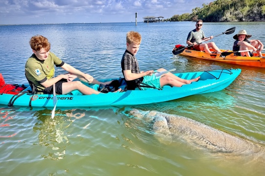 Petualangan Satwa Liar Kayak Lumba-Lumba & Manatee di Daytona Beach