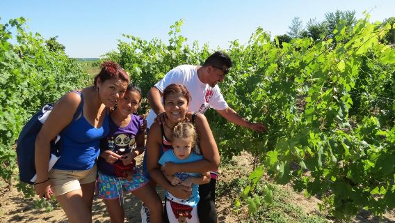 Explore Niagara Falls - Full-Day Tour