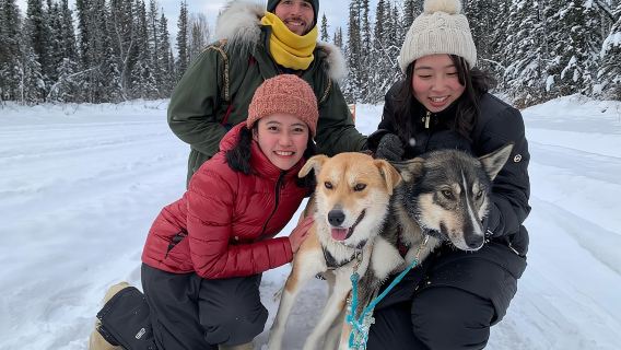 Dog Sledding and Mushing Experience in North Pole
