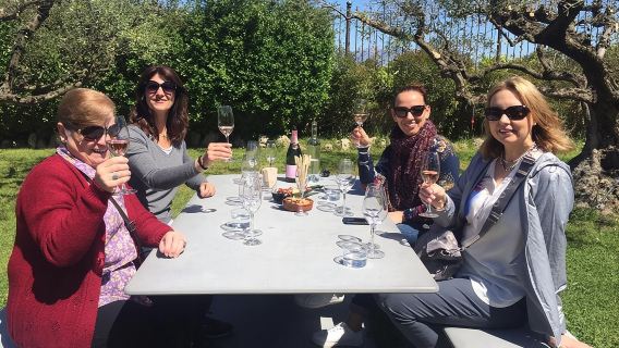 Montserrat,Vineyard, Wine Tasting Small Group Tour & Hotel Pickup