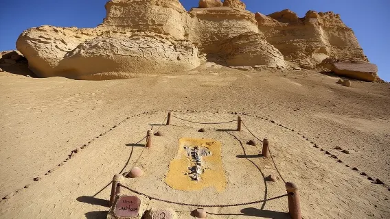 Tour privato alla Valle delle Balene e alle cascate Wadi El Rayan a El Fayoum dal Cairo