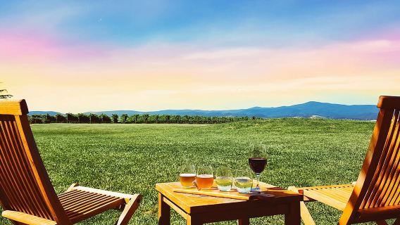 Epic Yarra Valley Wine, Beer/Gin & Choc Tour incl. 2-Course Lunch
