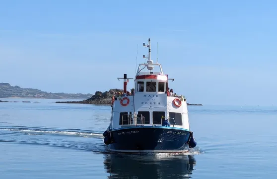 驚艷90分鐘福斯灣觀光郵輪之旅