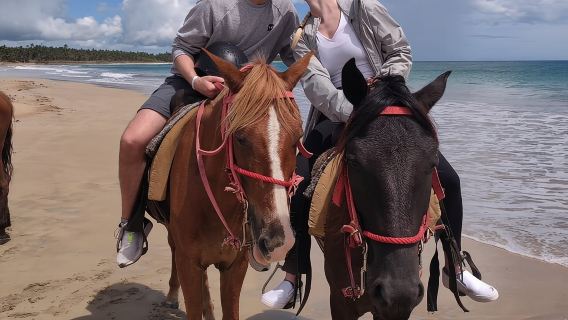 Beach Horseback Ride Tour at Punta Cana