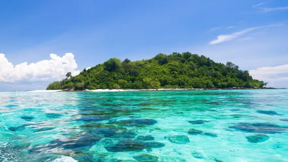 [Single Island] Sutera Harbour Marina Jetty - Sapi Island Round-Trip Boat Ticket | Kota Kinabalu, Sabah