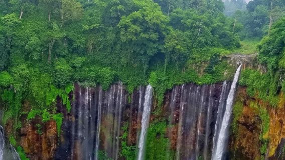 Indonesia + tour di un giorno alle cascate di Saibu @