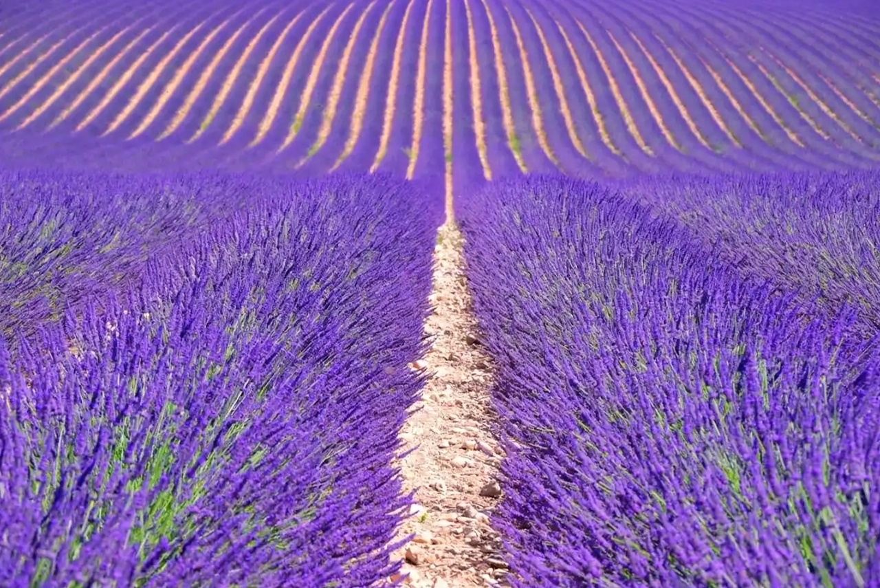 法國阿維尼翁呂貝隆自然公園+艾克斯主教座堂+塞南克修道院