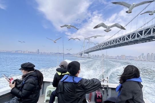 遼寧大連星海遊艇碼頭釣魚艇海上觀光+海釣+餵海鷗【專業船長教學+免費提供魚竿魚餌+魚獲歸客人所有】