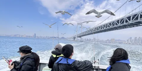 遼寧大連星海遊艇碼頭釣魚艇海上觀光+海釣+餵海鷗【專業船長教學+免費提供魚竿魚餌+魚獲歸客人所有】